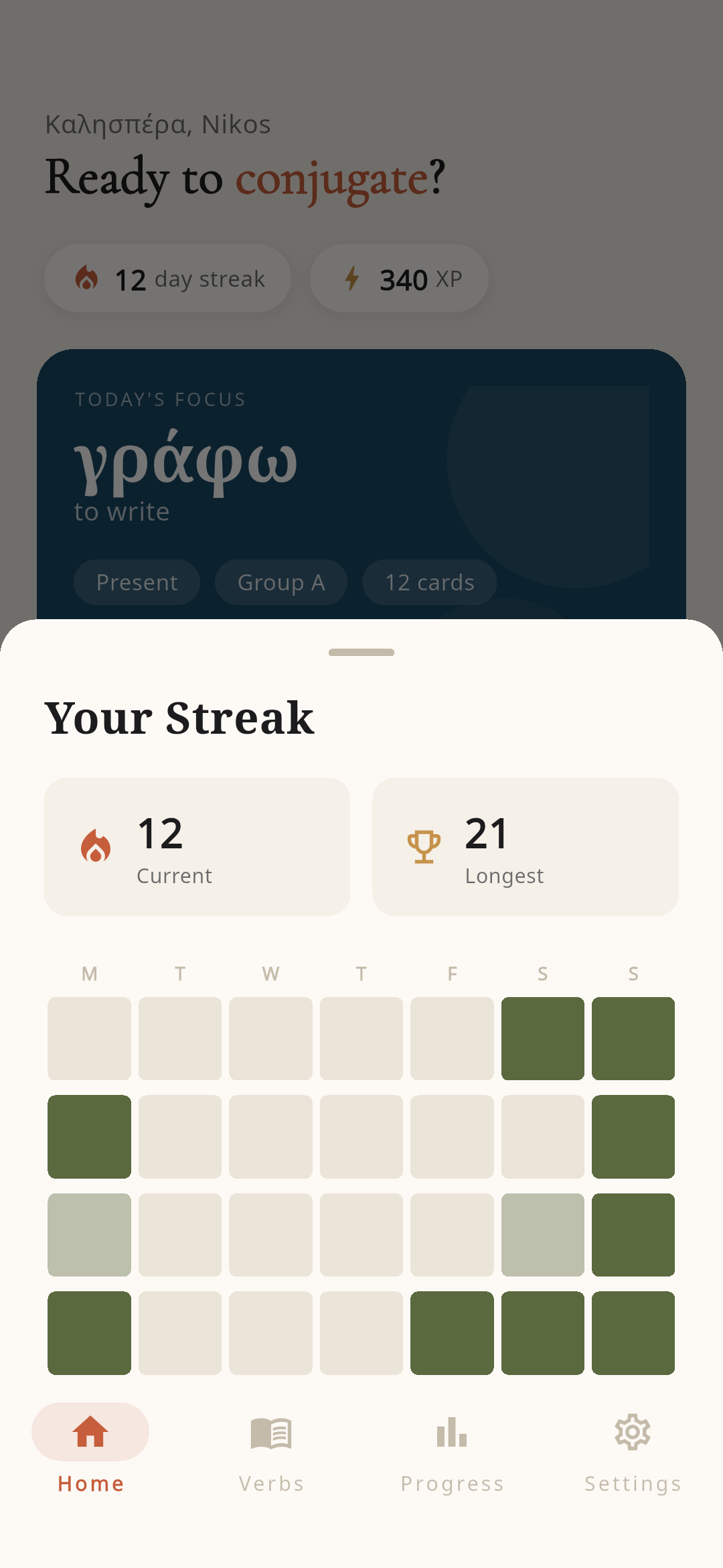 Streak calendar showing daily practice consistency